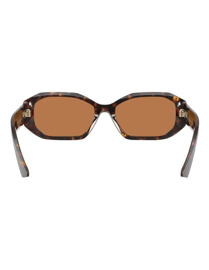 Acetate Sunglasses in Tortoise image 4