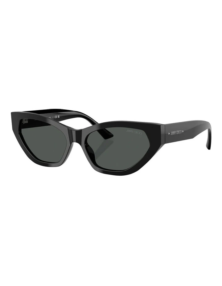 Acetate Sunglasses in Black image 1