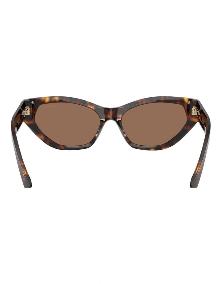 Acetate Sunglasses in Tortoise image 4