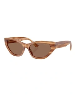 Acetate Sunglasses in Brown