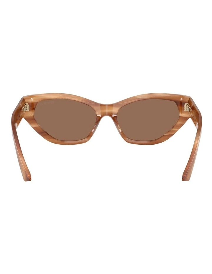 Acetate Sunglasses in Brown image 4