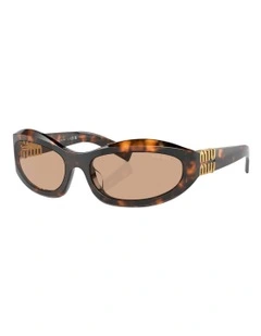 Acetate Sunglasses in Tortoise