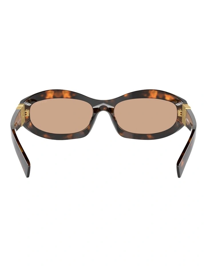 Acetate Sunglasses in Tortoise image 4