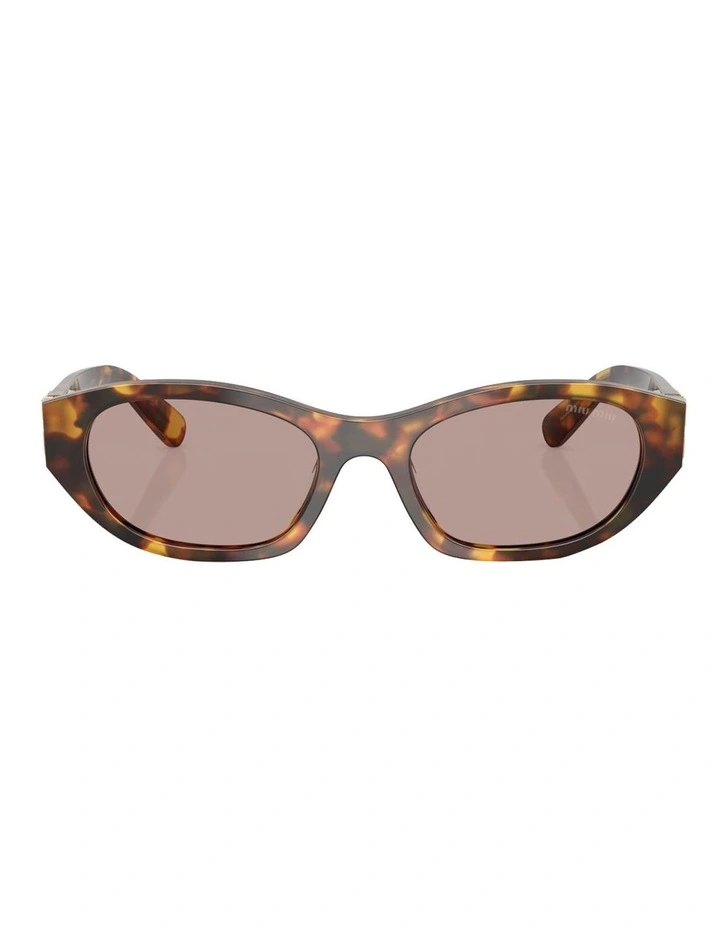 Acetate Sunglasses in Tortoise image 2