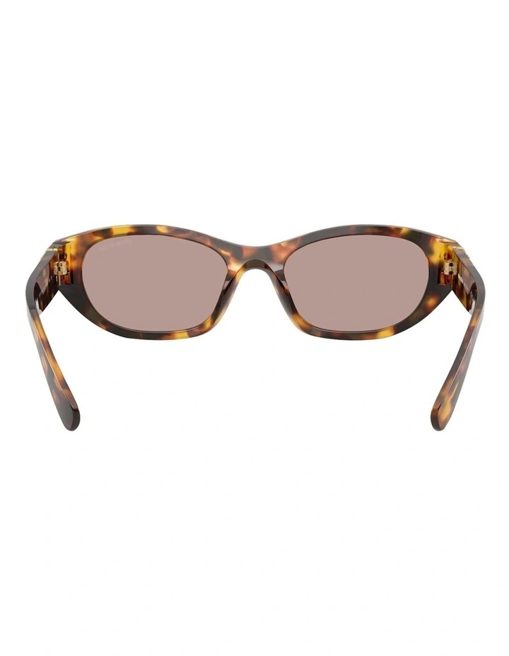 Acetate Sunglasses in Tortoise image 4