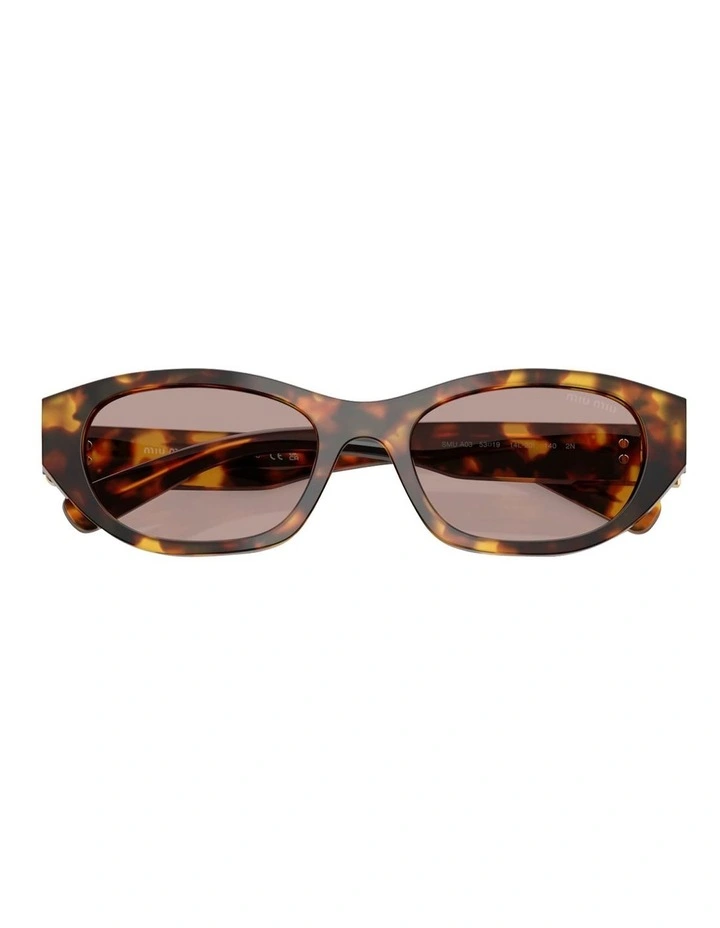 Acetate Sunglasses in Tortoise image 5