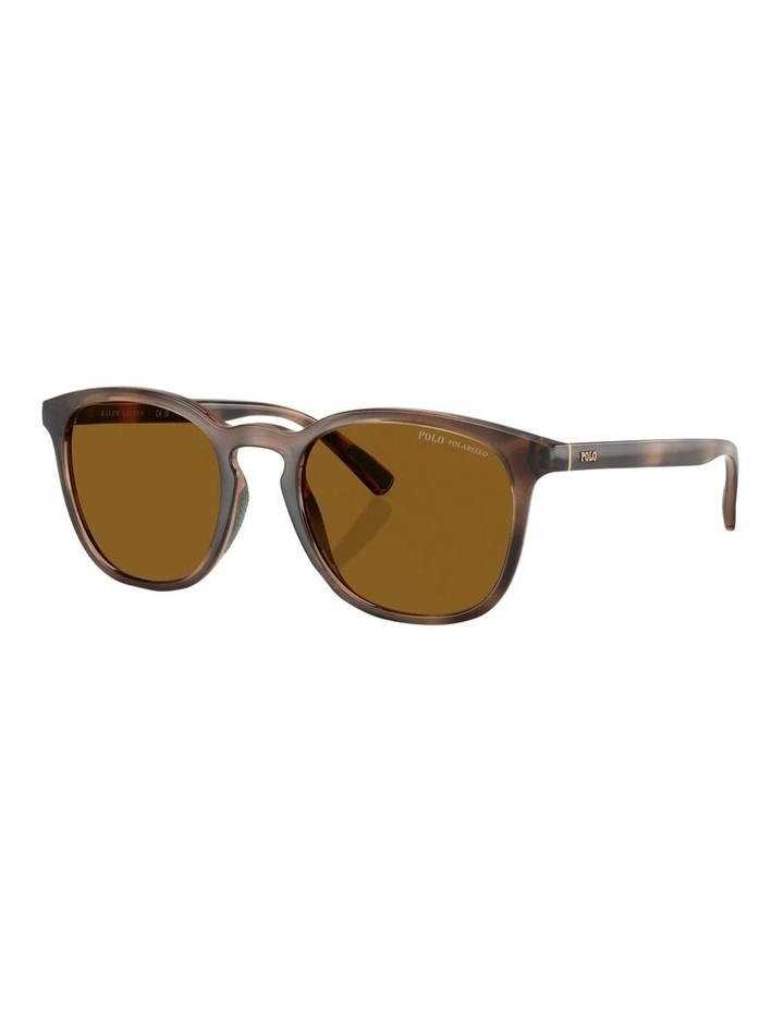Polo Ralph Lauren  Injected Polarised Sunglasses in Tortoise image 1