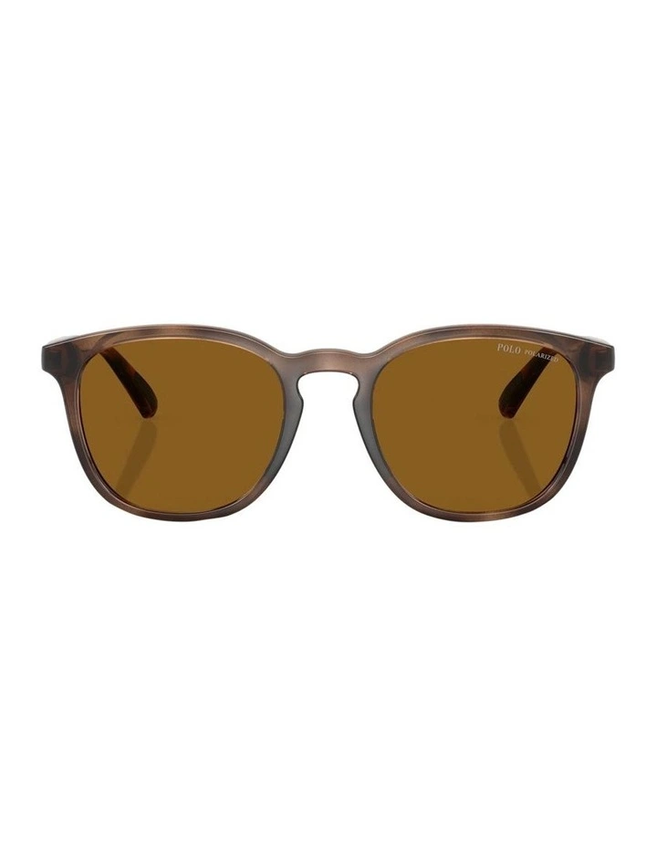 Polo Ralph Lauren  Injected Polarised Sunglasses in Tortoise image 2