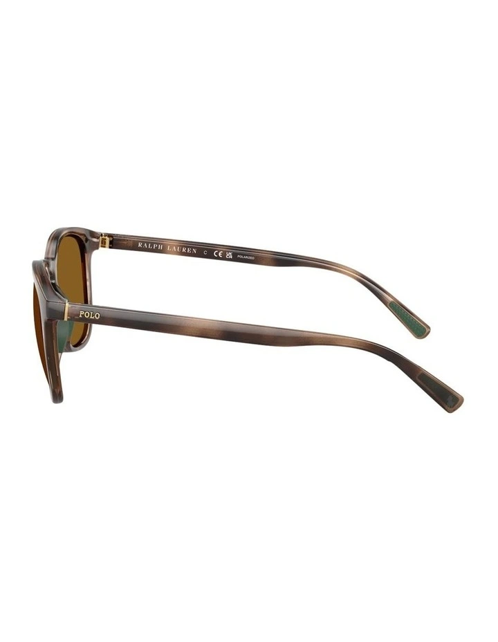 Polo Ralph Lauren  Injected Polarised Sunglasses in Tortoise image 3