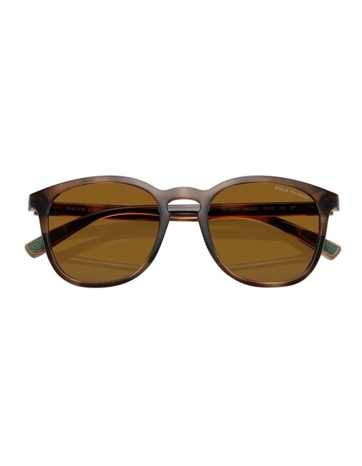 Polo Ralph Lauren  Injected Polarised Sunglasses in Tortoise image 5