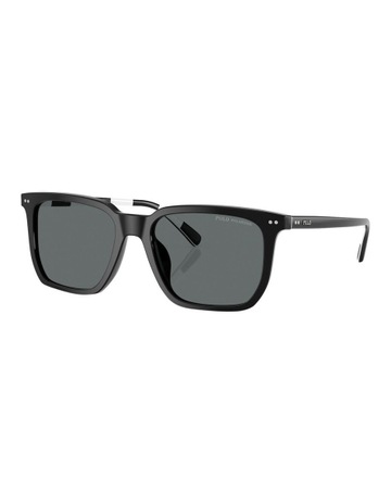 Shiny Black colour
