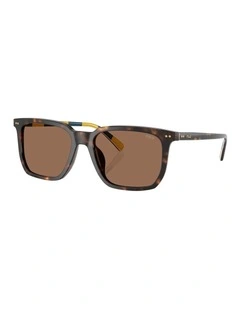 Polo Ralph Lauren  Acetate Sunglasses in Tortoise