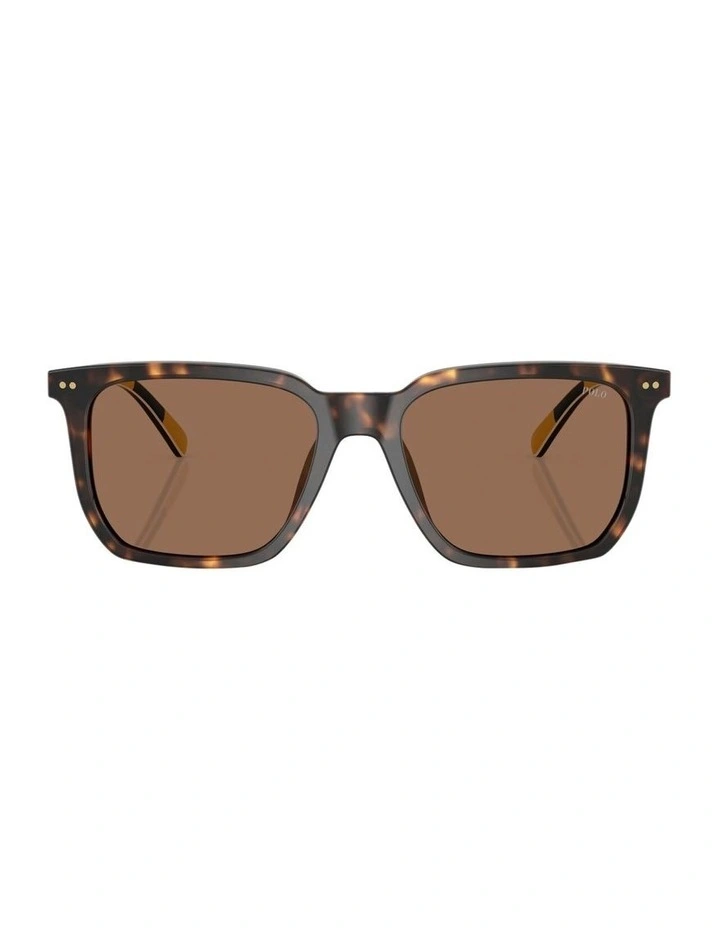 Polo Ralph Lauren Acetate Sunglasses in Tortoise image 2