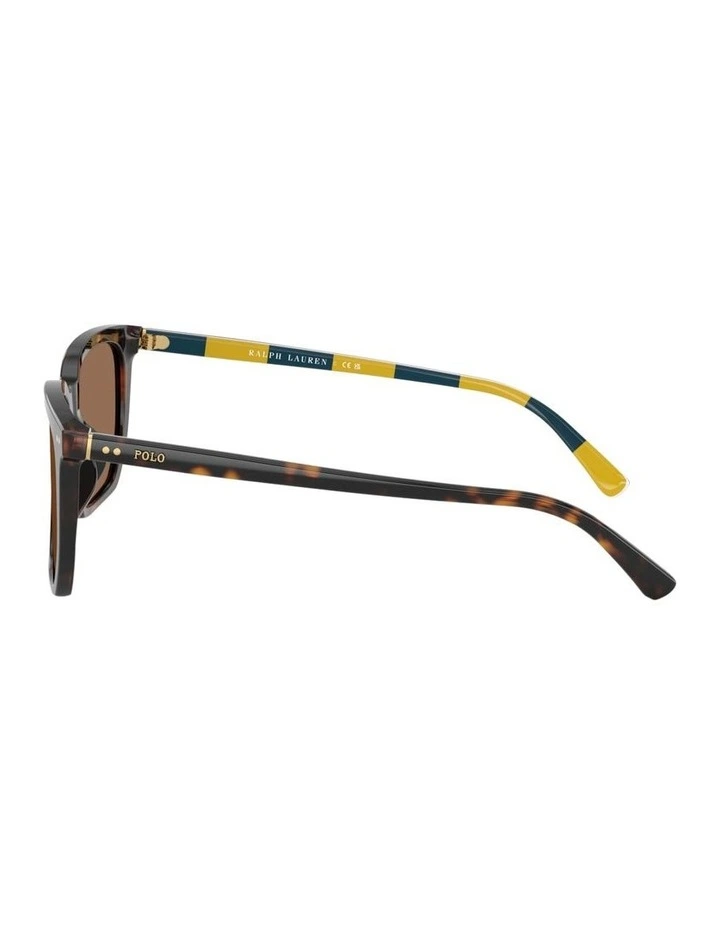 Polo Ralph Lauren Acetate Sunglasses in Tortoise image 3