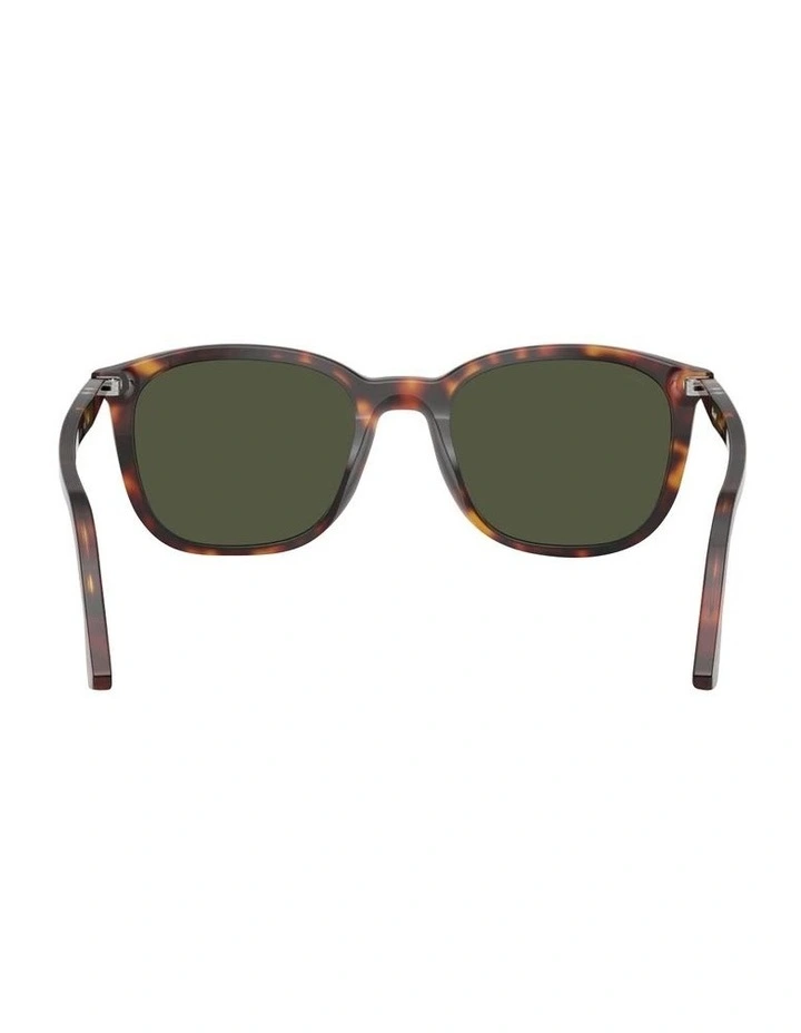 Acetate Sunglasses in Brown image 4