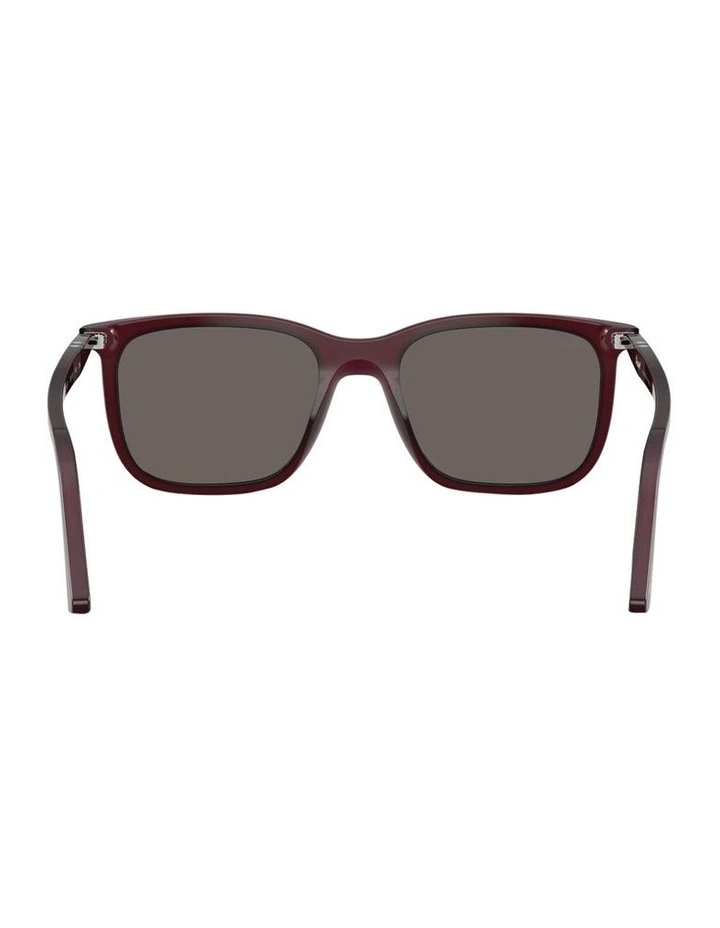 Renzo Acetate Sunglasses PO3357S in Red image 4