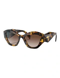 Acetate Sunglasses in Tortoise