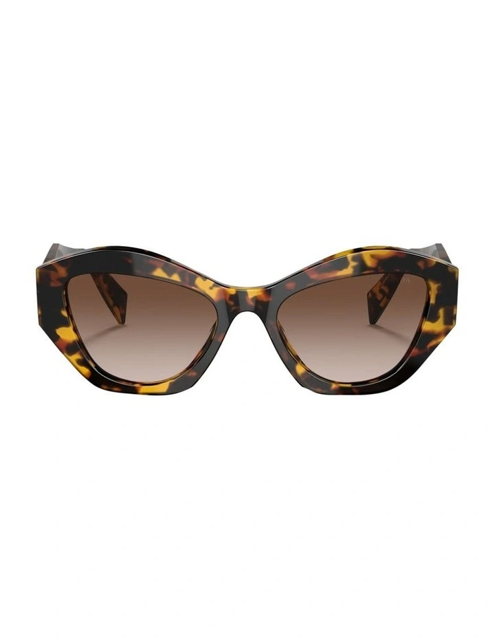 Acetate Sunglasses in Tortoise image 2