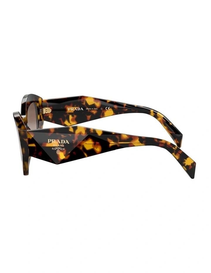 Acetate Sunglasses in Tortoise image 3