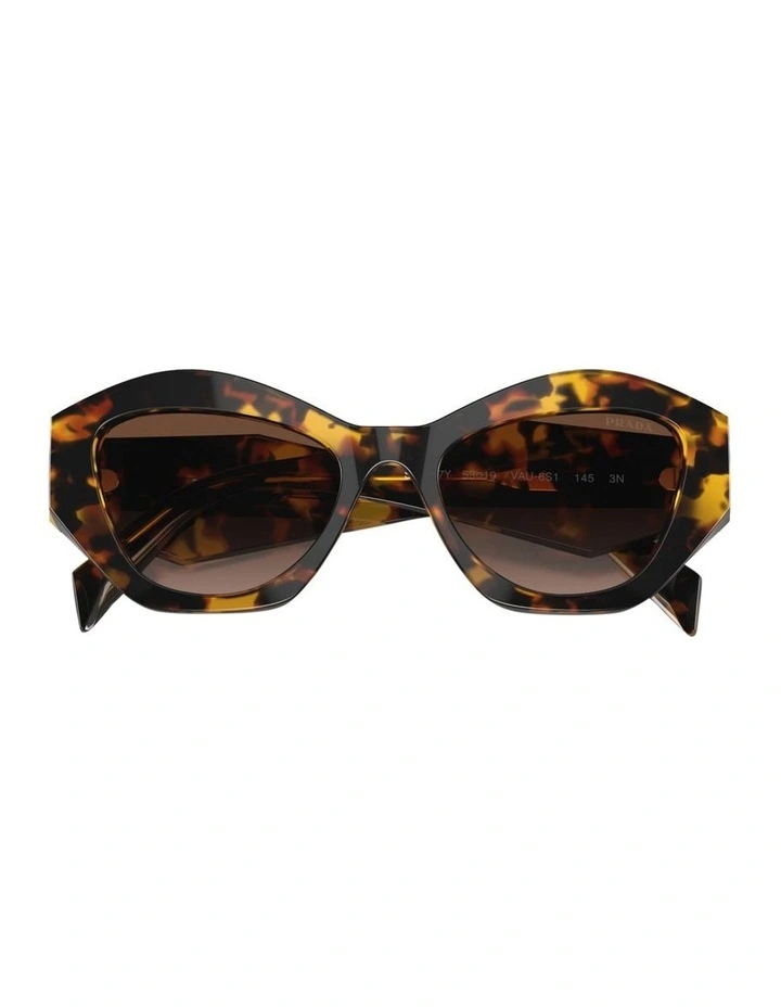 Acetate Sunglasses in Tortoise image 4