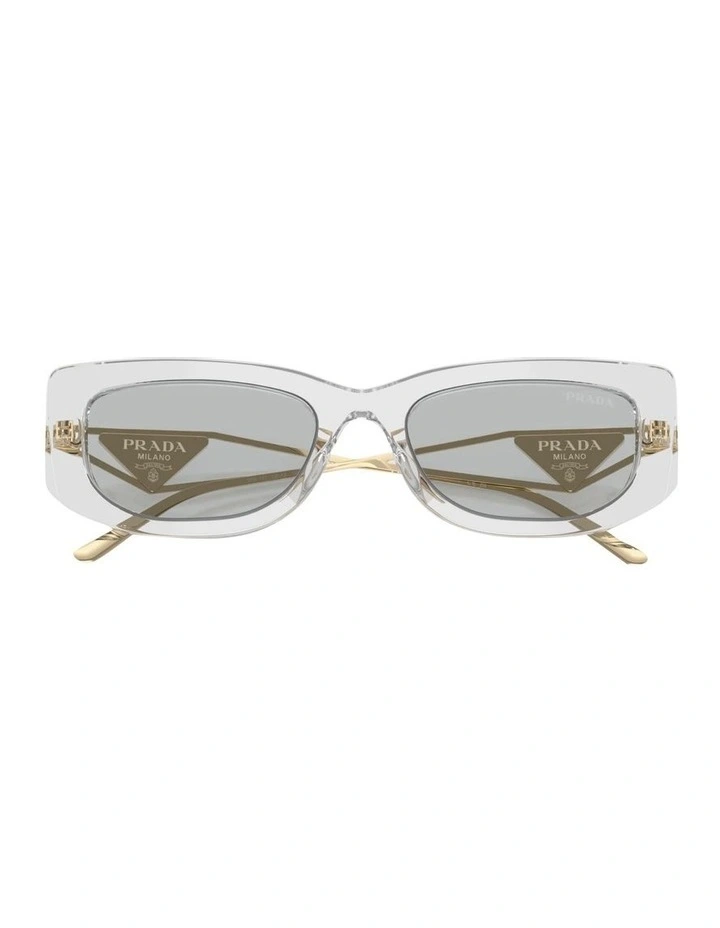 Acetate Sunglasses in Grey image 4