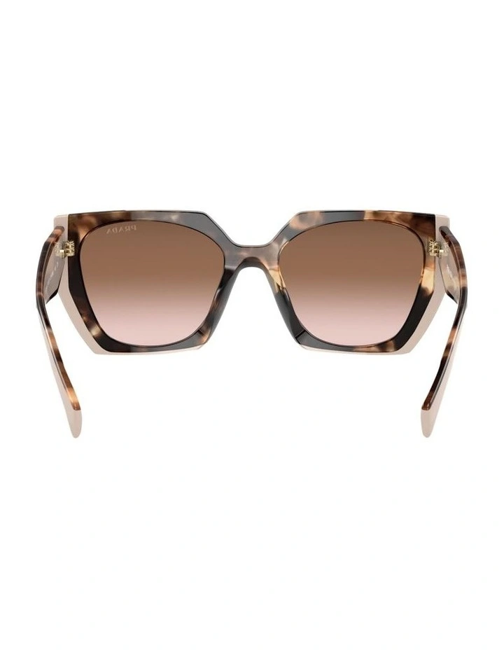 PR 15WS Acetate Sunglasses in Tortoise image 4