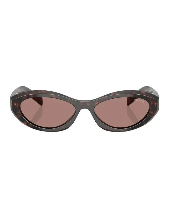 Acetate Sunglasses in Root Tortoise image 2