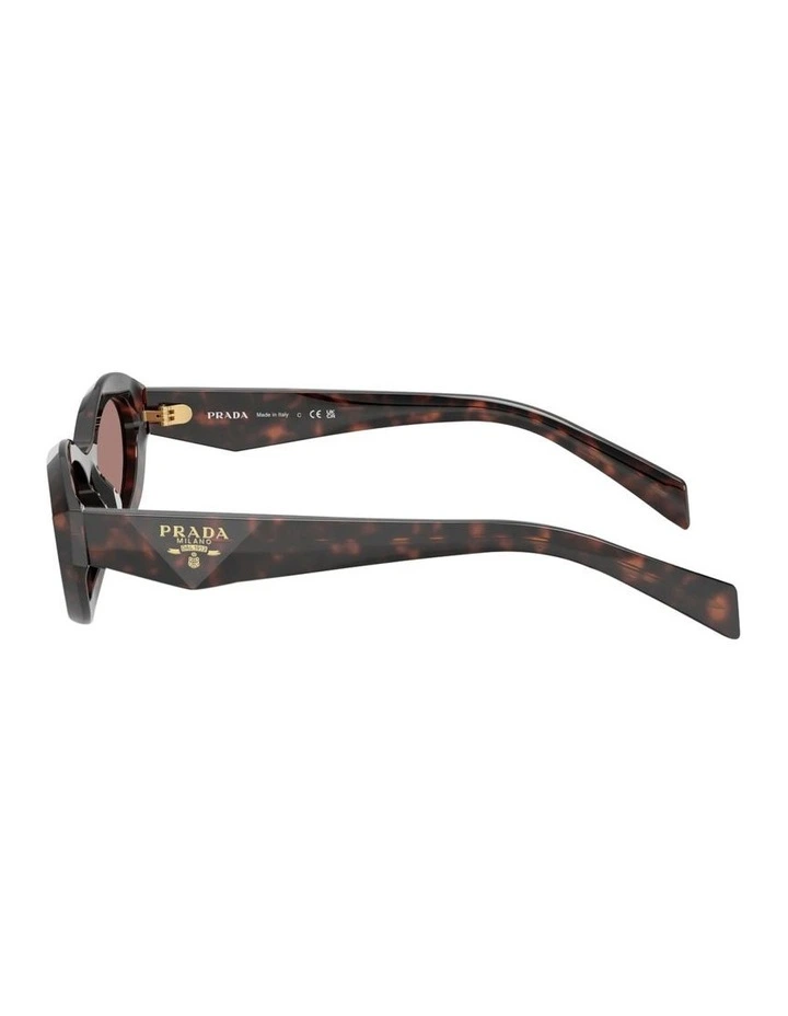 Acetate Sunglasses in Root Tortoise image 3