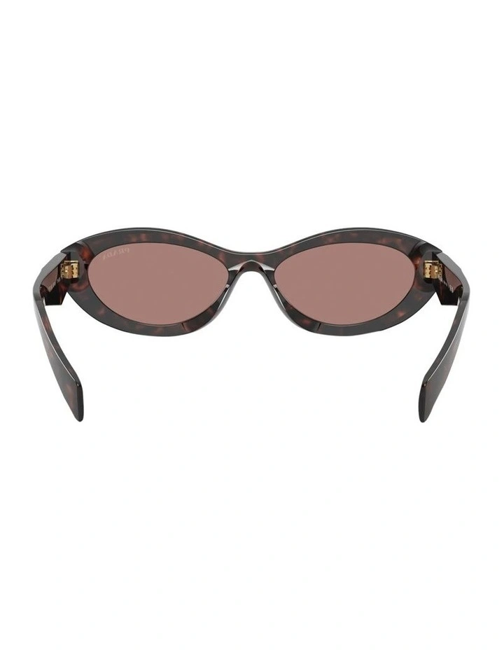 Acetate Sunglasses in Root Tortoise image 4