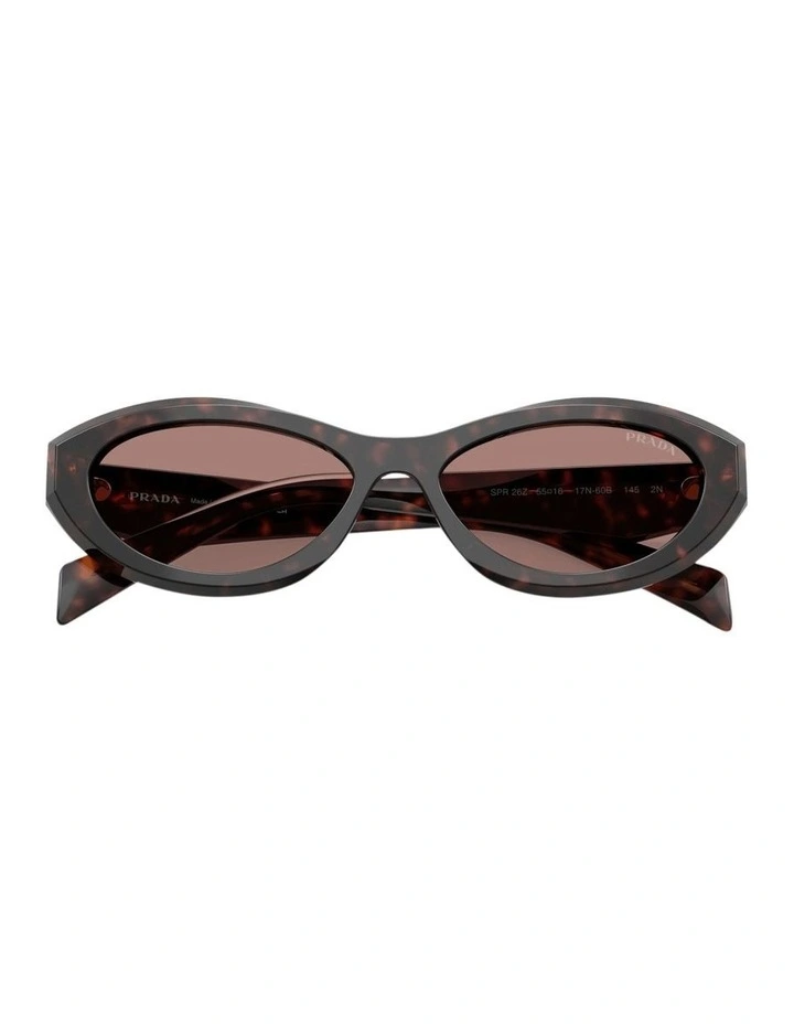 Acetate Sunglasses in Root Tortoise image 5