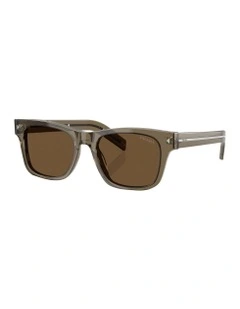 Prada  Acetate Sunglasses in Beige