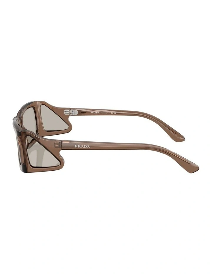 Acetate Sunglasses in Brown image 3