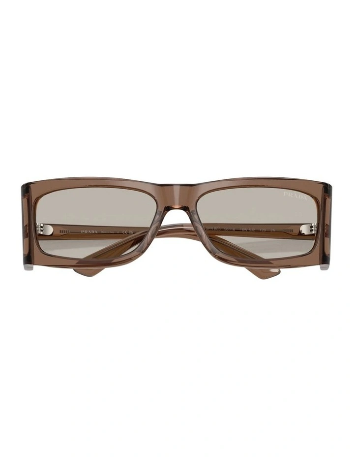 Acetate Sunglasses in Brown image 4