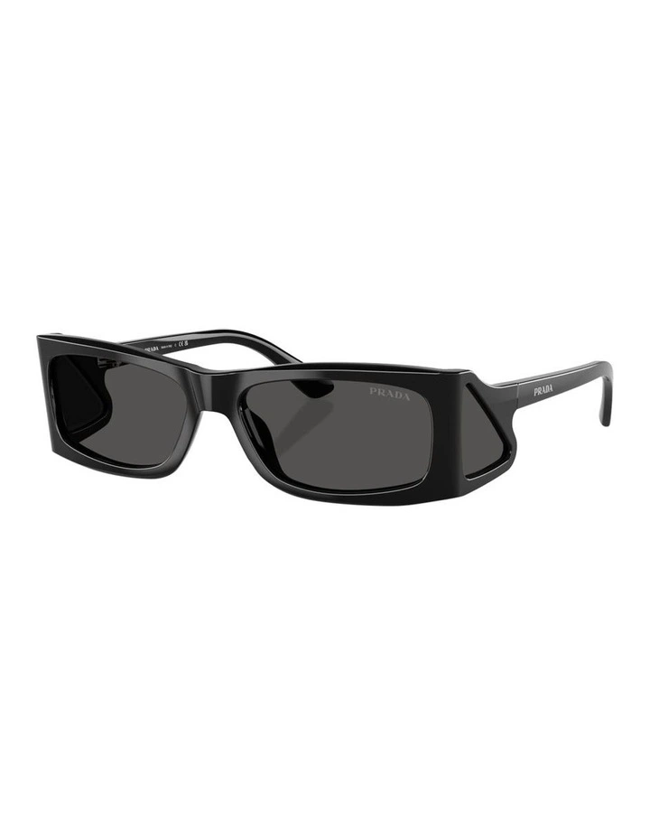 Acetate Sunglasses in Black image 1