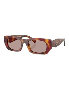 Prada  Acetate Sunglasses in Tortoise
