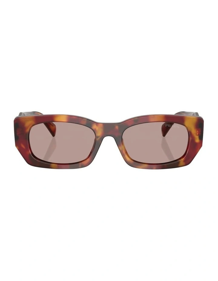 Prada Acetate Sunglasses in Tortoise image 2