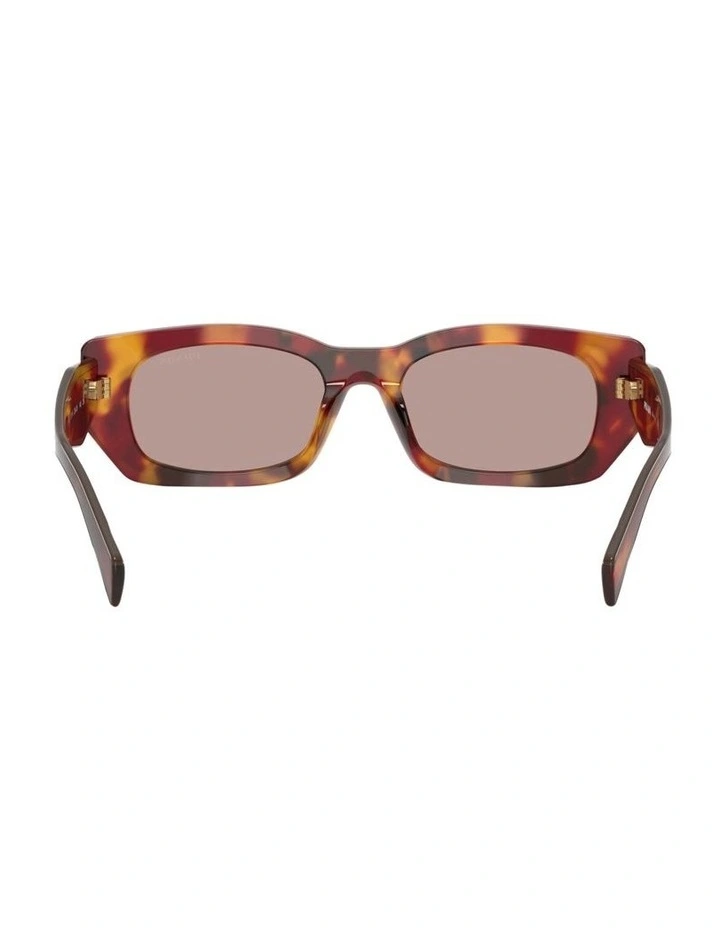 Prada Acetate Sunglasses in Tortoise image 4