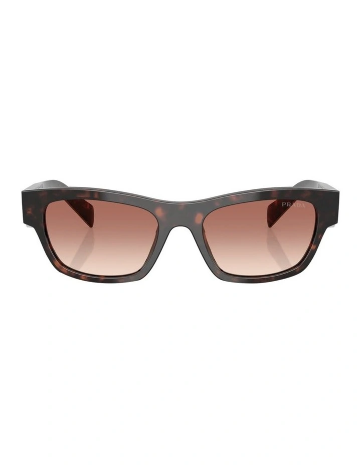 Prada  Acetate Sunglasses in Tortoise image 2