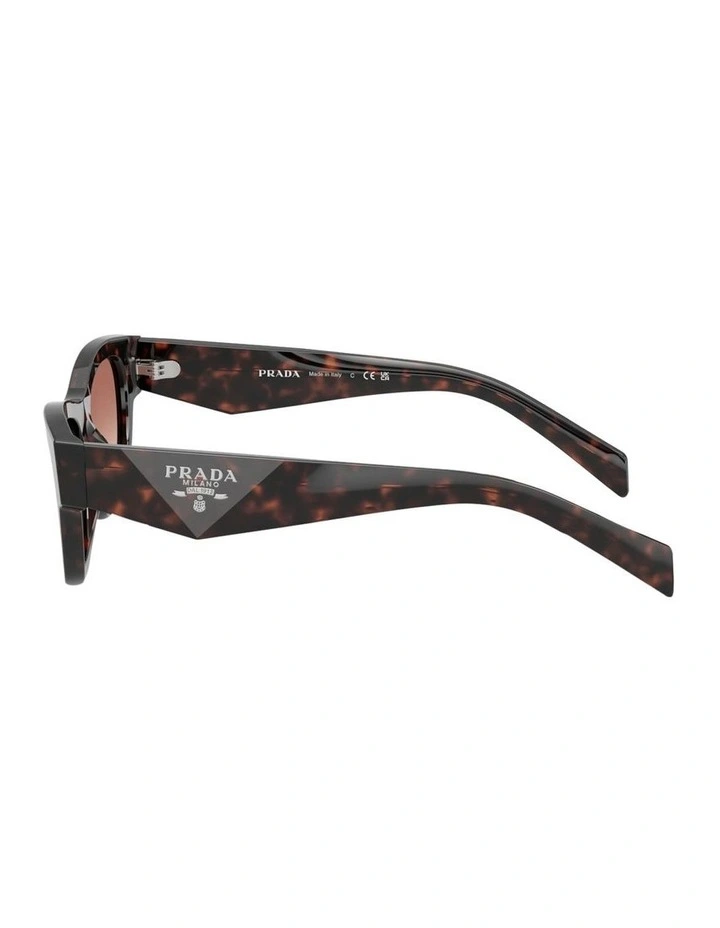Prada  Acetate Sunglasses in Tortoise image 3