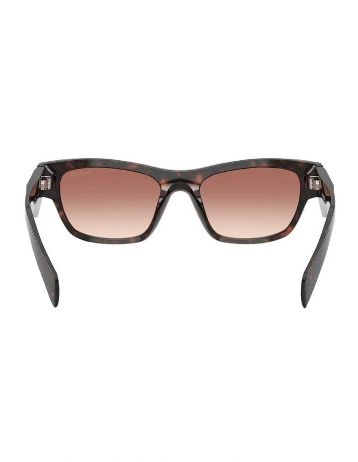 Prada  Acetate Sunglasses in Tortoise image 4
