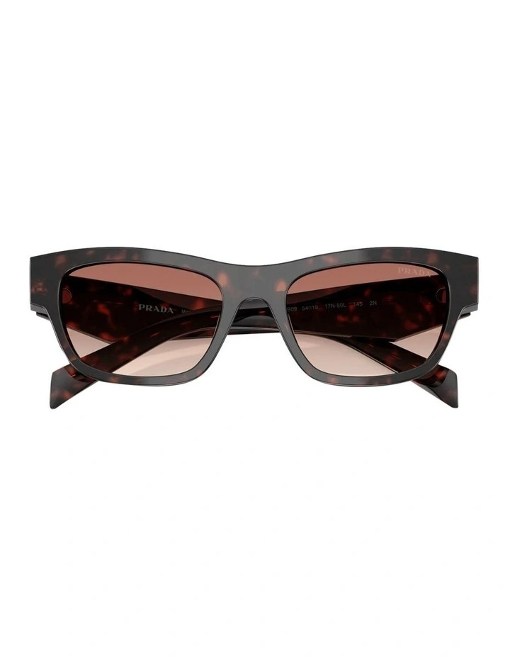 Prada  Acetate Sunglasses in Tortoise image 5