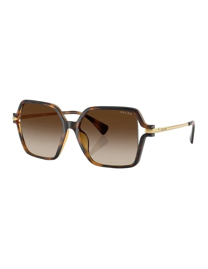 Ralph  Injected Sunglasses in Tortoise image 1