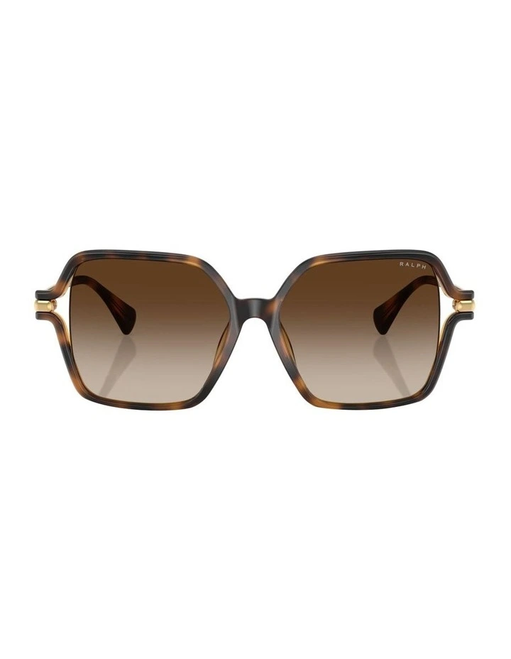 Ralph  Injected Sunglasses in Tortoise image 2