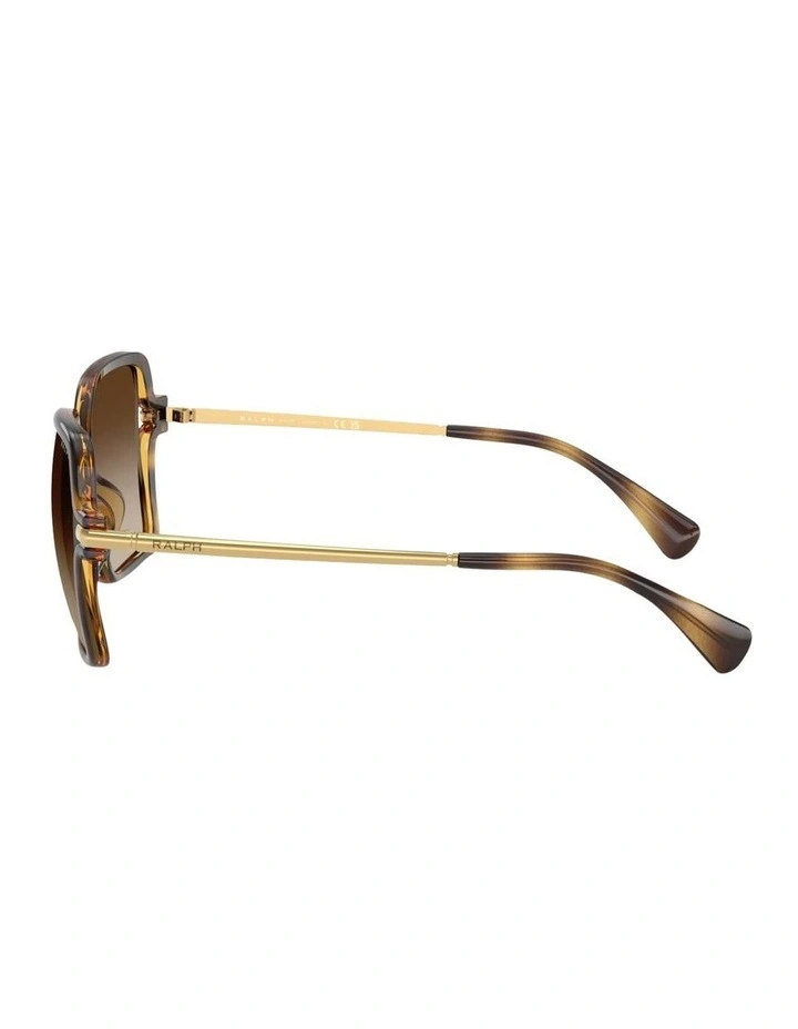 Ralph  Injected Sunglasses in Tortoise image 3