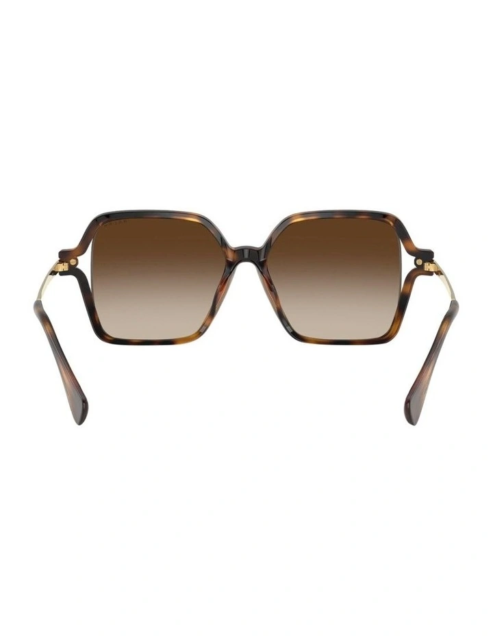 Ralph  Injected Sunglasses in Tortoise image 4