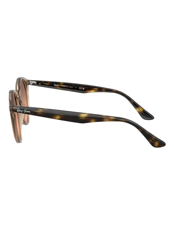 Propionate Sunglasses in Beige image 3