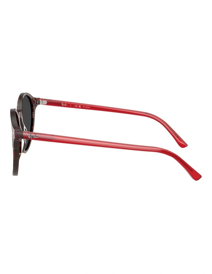 Ray-Ban Bernard Acetate Polarised Sunglasses in Multicolor image 3