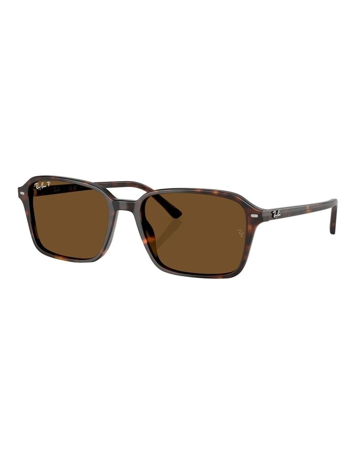 Ray-Ban Raimond Acetate Polarised Sunglasses in Tortoise image 1