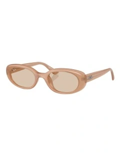 Ray-Ban RB4441D Washed Lenses Bio-Based Injected Sunglasses in Brown