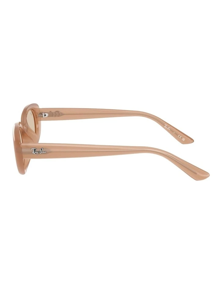 Ray-Ban RB4441D Washed Lenses Bio-Based Injected Sunglasses in Brown image 3